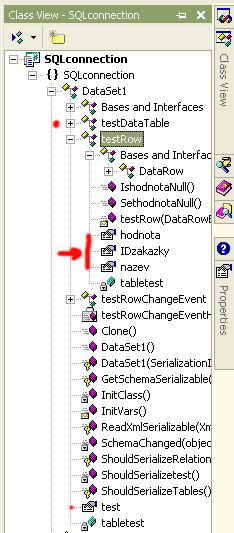 Automaticky vygenerovaná třída DataSet1